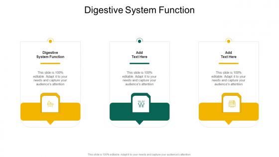 Digestive System Function In Powerpoint And Google Slides Cpb