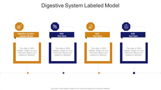 Digestive System Labeled Model In Powerpoint And Google Slides Cpb