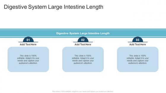 Digestive System Large Intestine Length In Powerpoint And Google Slides Cpb