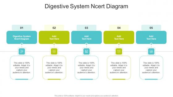 Digestive System Ncert Diagram In Powerpoint And Google Slides Cpb