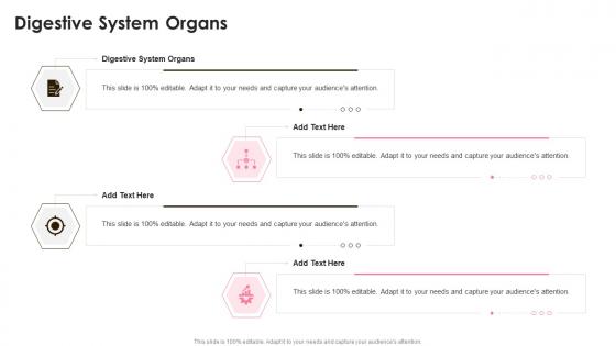 Digestive System Organs In Powerpoint And Google Slides Cpb