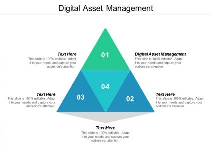 Digital asset management ppt powerpoint presentation infographics structure cpb