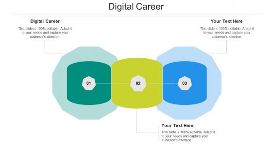 Digital career ppt powerpoint presentation show backgrounds cpb