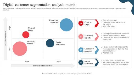 Digital Customer Segmentation Analysis Matrix Developing Marketing And Promotional MKT SS V