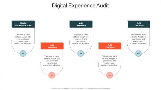Digital Experience Audit In Powerpoint And Google Slides Cpb