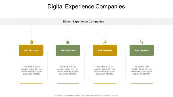 Digital Experience Companies In Powerpoint And Google Slides Cpb