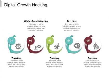 Digital growth hacking ppt powerpoint presentation infographic template styles cpb