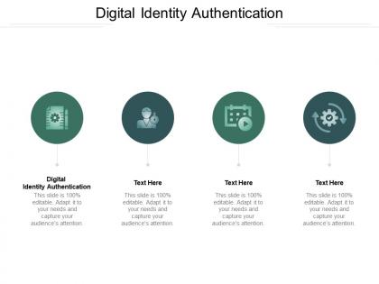 Digital identity authentication ppt powerpoint presentation styles inspiration cpb