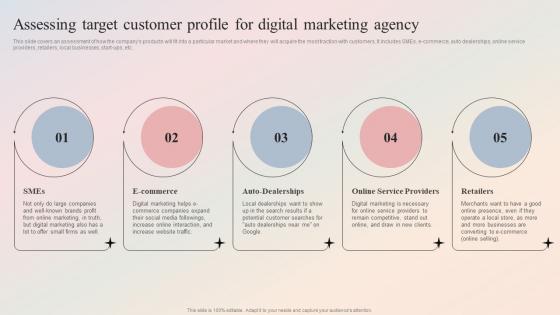Digital Marketing Agency Assessing Target Customer Profile For Digital Marketing Agency BP SS
