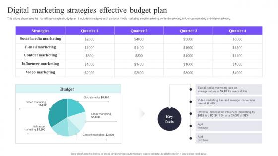 Digital Marketing Effective Budget Plan Deploying A Variety Of Marketing Strategy SS V