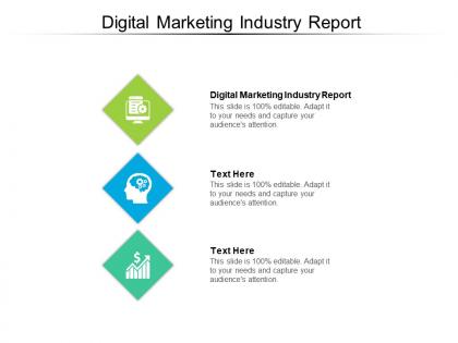Digital marketing industry report ppt powerpoint presentation show introduction cpb