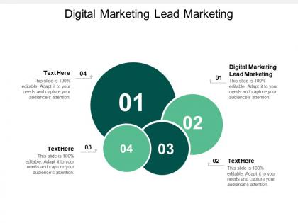 Digital marketing lead marketing ppt powerpoint presentation show templates cpb