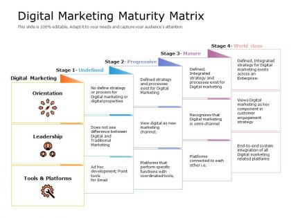 Digital marketing maturity matrix