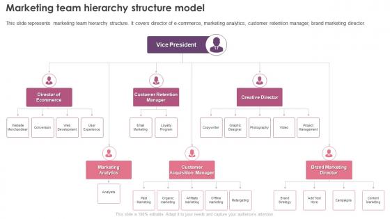 Digital Marketing Program Marketing Team Hierarchy Structure Model