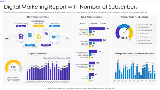Digital Marketing Report With Number Of Subscribers