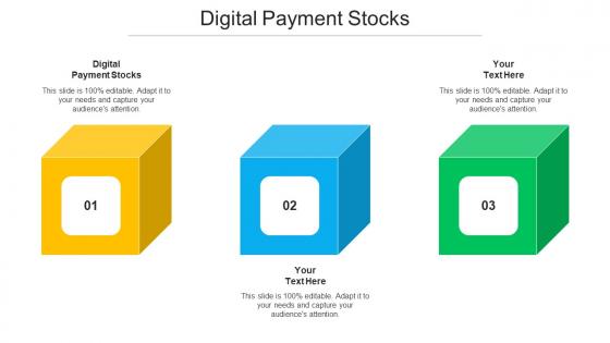 Digital Payment Stocks Ppt Powerpoint Presentation Infographics Layout Ideas Cpb