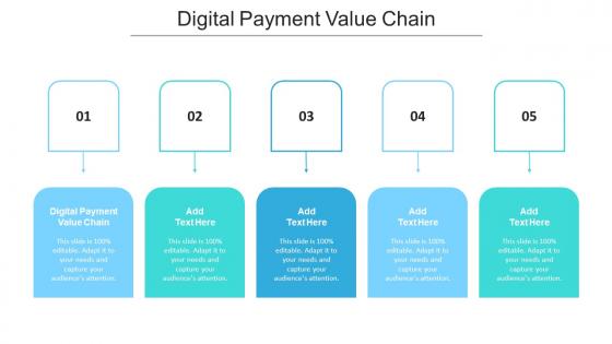 Digital Payment Value Chain Ppt Powerpoint Presentation Professional Cpb