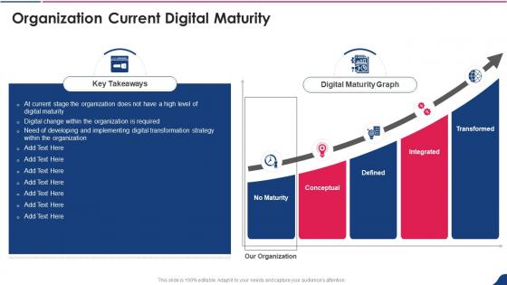 Digital Playbook Organization Current Digital Maturity