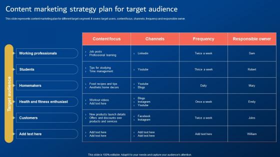 Digital Promotion Strategies Content Marketing Strategy Plan For Target Audience