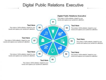 Digital public relations executive ppt powerpoint presentation file topics cpb