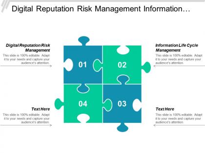 Digital reputation risk management information life cycle management cpb