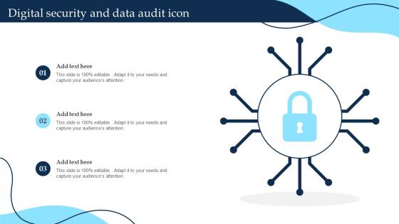Digital Security And Data Audit Icon
