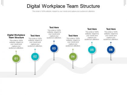 Digital workplace team structure ppt powerpoint presentation professional information cpb
