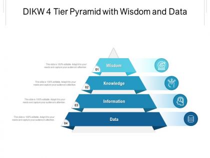 Dikw 4 tier pyramid with wisdom and data