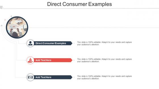 Direct Consumer Examples Ppt Powerpoint Presentation Infographics Rules Cpb