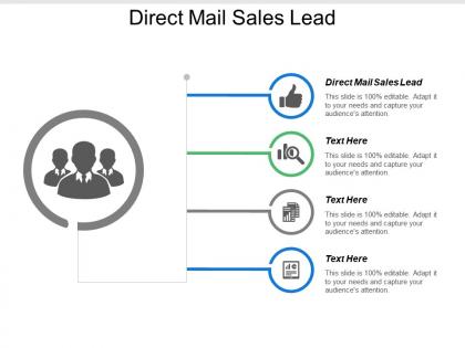 Direct mail sales lead ppt powerpoint presentation model infographic template cpb