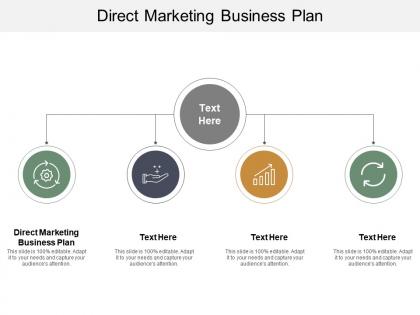 Direct marketing business plan ppt powerpoint presentation file display cpb