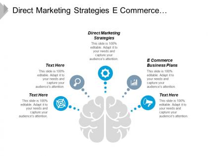 Direct marketing strategies e commerce business plans business organisations cpb