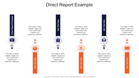 Direct Report Example In Powerpoint And Google Slides Cpb