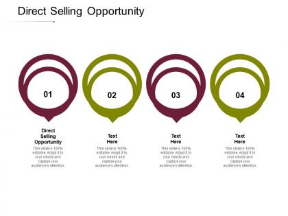 Direct selling opportunity ppt powerpoint presentation infographics graphics cpb