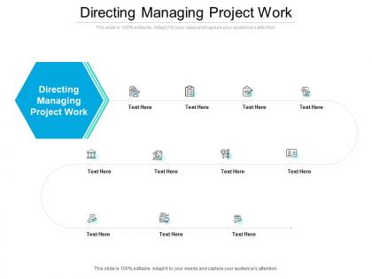 Directing managing project work ppt powerpoint presentation ideas structure cpb