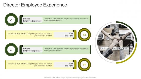 Director Employee Experience In Powerpoint And Google Slides Cpb