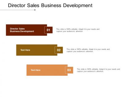 Director sales business development ppt powerpoint presentation gallery images cpb