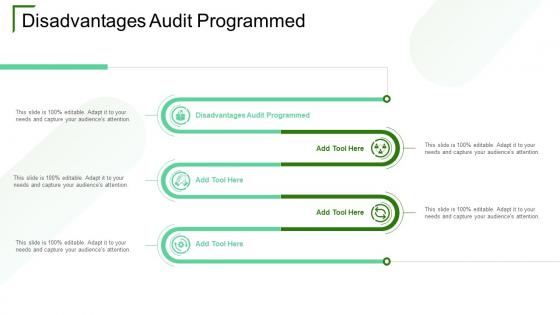 Disadvantages Audit Programmed In Powerpoint And Google Slides Cpb