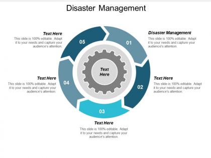 Disaster management ppt powerpoint presentation icon infographics cpb