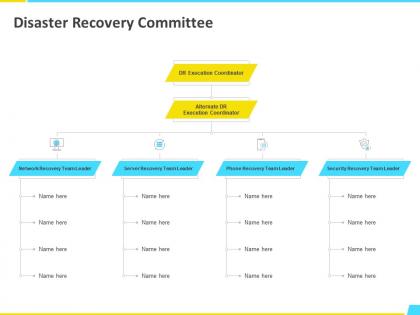 Disaster recovery committee alternate ppt powerpoint presentation file designs