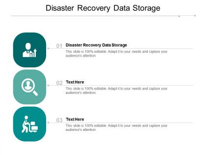 Disaster recovery data storage ppt powerpoint presentation summary outfit cpb