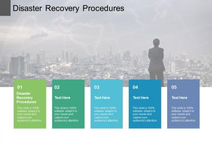 Disaster recovery procedures ppt powerpoint presentation layouts summary cpb