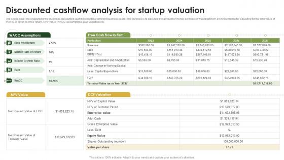 Discounted Cashflow Analysis For Startup Cow Farming Business Plan BP SS