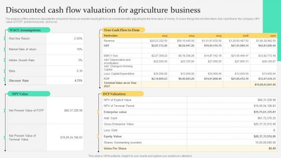 Discounted Valuation For Agriculture Business Agriculture Products Business Plan BP SS