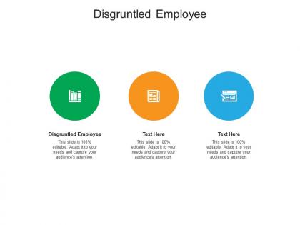 Disgruntled employee ppt powerpoint presentation model vector cpb