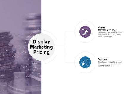 Display marketing pricing ppt powerpoint presentation show deck cpb