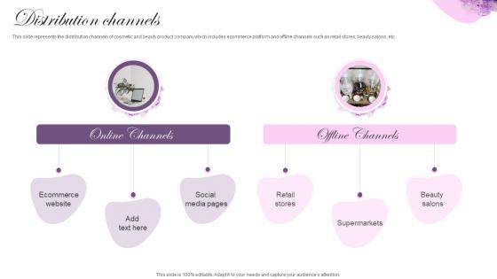 Distribution Channels Cosmetic Brand Company Profile Ppt Elements