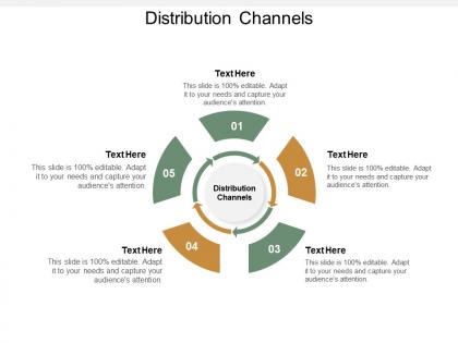 Distribution channels ppt powerpoint presentation portfolio smartart cpb