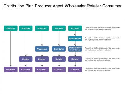 Distribution plan producer agent wholesaler retailer consumer