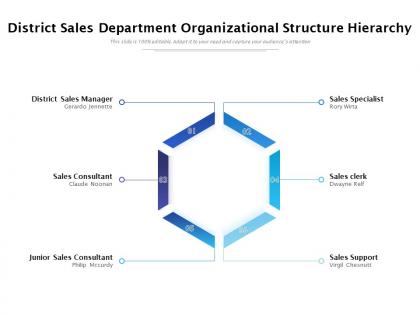 District sales department organizational structure hierarchy